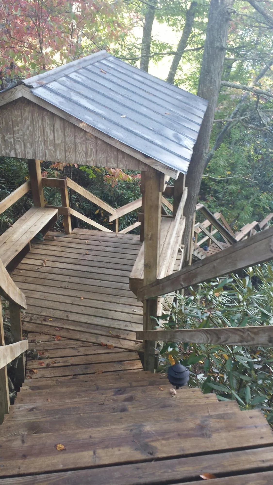 Metal roofed shelter over wooden steps on a wooded walkway — Skylight Repair & Installation work by our crew in Howey In The Hills